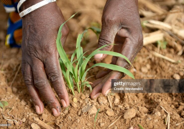 agriculture