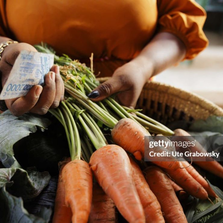 BEO-NOREE, BURKINA FASO - MARCH 04: Woman selling her vegetables growing on a organic farm on March 04, 2024 in Beo-Noree, Burkina Faso. (Photo by Ute Grabowsky/Photothek via Getty Images)