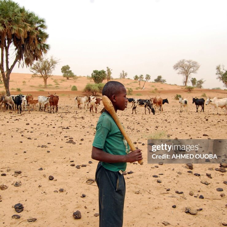 A young boy, who left shool to become a cowherd, keeps an eye on cattle around Yakouta on June 10, 2009. In Burkina Faso's arid northern region classes burst at the seams at the start of the school year but as the year progresses more and more parents take their children out of school: the boys leave to herd cattle and many girls get married off early. In the last few years teachers, parents and non-governmental organisations and the local authorities have come up with a number of new ways to fight against early school leaving.
AFP PHOTO AHMED OUABA (Photo by AHMED OUOBA / AFP) (Photo by AHMED OUOBA/AFP via Getty Images)